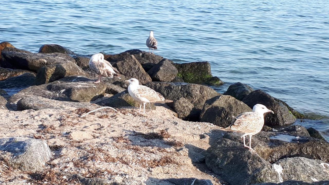 Dachgeschosswohnung Mit Seeblick Ahrensbok Eksteriør billede